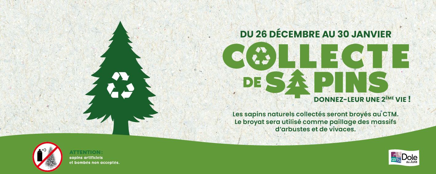 SAPINS DE NOËL : DONNEZ-LEUR UNE DEUXIÈME VIE !