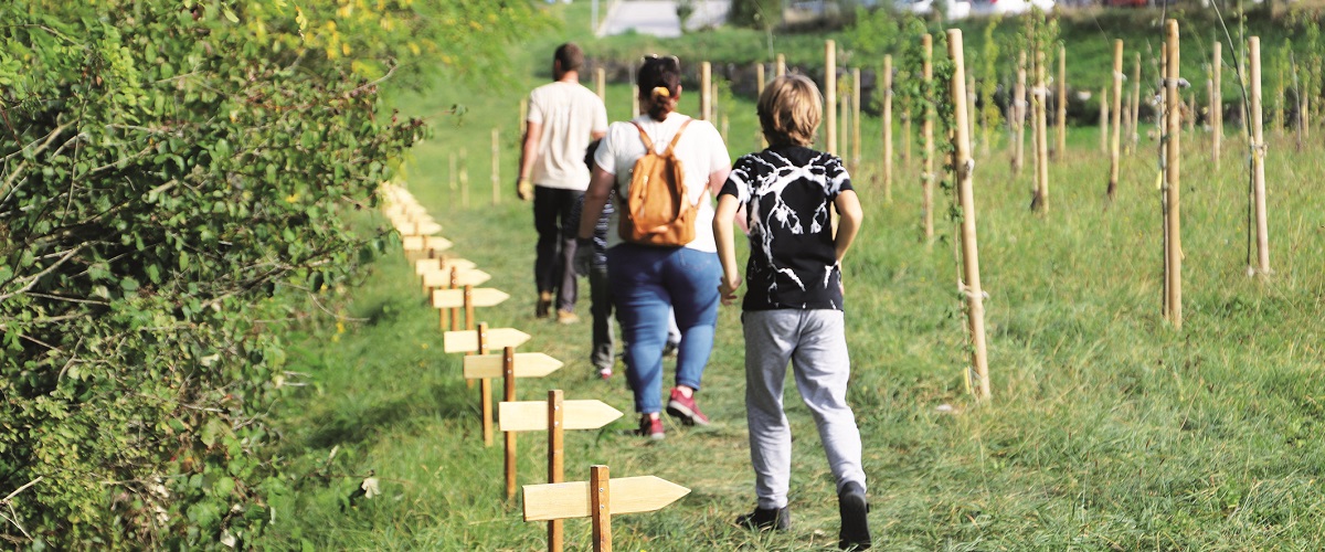 VAL FLEURI : LA FORÊT URBAINE PREND RACINE